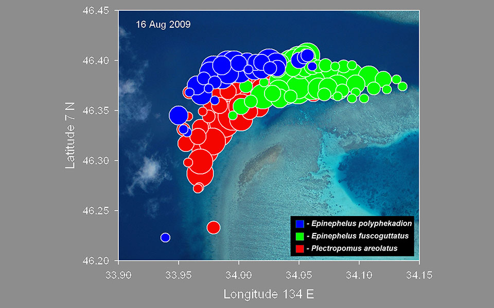 The distributions of multiple species using the same general area for their aggregations can be plotted with each species bubbles being represented by a different color. Again when placed upon a satellite image background the relationship between the aggregation and the benthic habitat is easily seen.